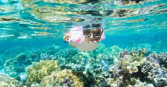 Aropec store online -Aropec store online a7ac0 him6h